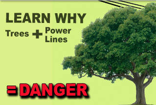 Tree and Power Line Safety. Learn why trees + power lines = danger.